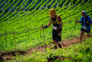 BIB: 1234
                            <button type="button" onclick="openModal(19162138)" class="btn btn-primary btn-sm float-right btn-popup" data-toggle="modal" data-target=".modal-high-quality">
                        <i class="fas fa-shopping-cart"></i> Add to Cart
                    </button>
                                            <button type="button" onclick="isThisMe(19162138, true)" class="btn btn-success btn-sm float-right btn-popup btn-isme hidden" data-toggle="tooltip" data-placement="bottom" title="นี่คือรูปของคุณใช่ไหม คลิกที่นี่เพื่อเอาเข้าอัลบั้ม">
                        <i class="fas fa-plus"></i> Add to album
                    </button>
                    <button type="button" onclick="isThisMe(19162138, false)" class="btn btn-warning btn-sm float-right btn-popup btn-isnotme hidden">
                        <i class="fas fa-ban"></i> Remove from album
                    </button>